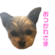 Puppy Feelings