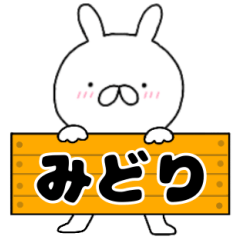 A dedicated name rabbit Midori