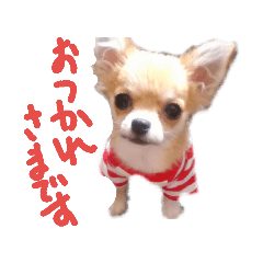 Hello vivichan2