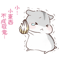 Make-it-up HamHam Chinese