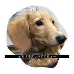 CONNECT_20190216172456