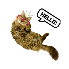 isome_cat_20190216030041