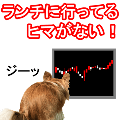 chihuahua investment sticker/the 3rd