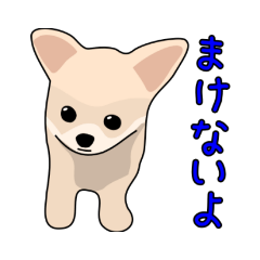 shibaryu_20190219174716