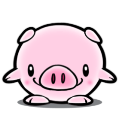 波波豬 - 可愛小豬的動態日常