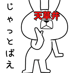 Dialect rabbit [amakusa2]