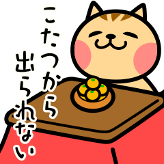 The kotatsu cat