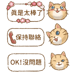 Cat's LifeStyle - Daily dialog
