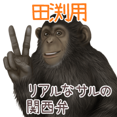 Tabuchi 1 Monkey's real myouji