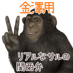 Kanazawa 2 Monkey's real myouji