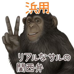 Hama Monkey's real myouji