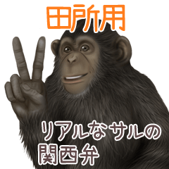 Tadokoro Monkey's real myouji