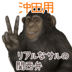 Okita Monkey's real myouji