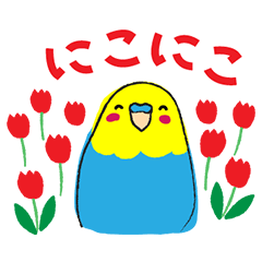 The cheerful budgerigar sticker