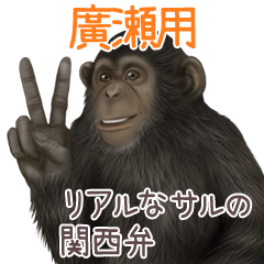 Hirose 2 Monkey's real myouji