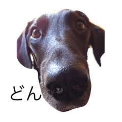 CHIRO_20190220011547