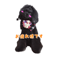 YANCHA.JUNCHA_20190215221330