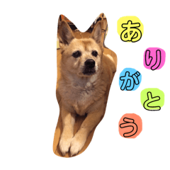 risa_20190219184237