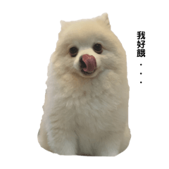 獅子寶寶