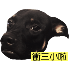 黑襪子 黃棒棒