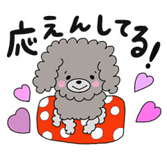 My toy poodle MAME vol.01