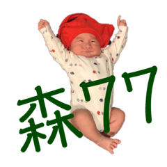 小隊長的表情包趴兔