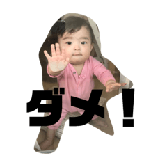 mikolish4