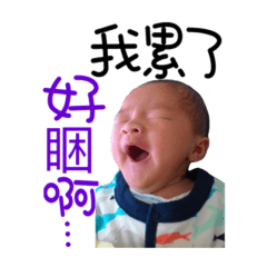 威威的日常 ❤️
