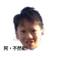 梁府家族