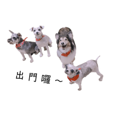 家有毛小孩