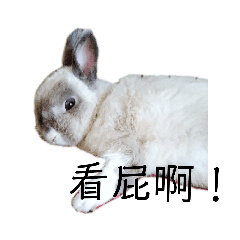 灰灰^_^