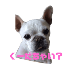 my  lovely lovely dog