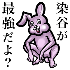 Pink bunny sticker! Someya Sometani