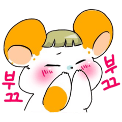 cute Korean hamster