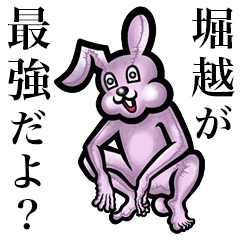 Pink bunny sticker! Horikoshi Horigoshi