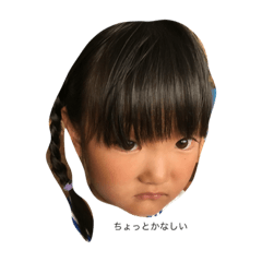 wasabi_20190219
