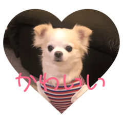 suzu_20190218224529