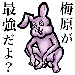 Pink bunny sticker! Umehara Umebara