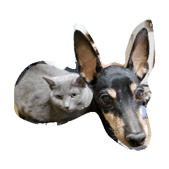 Rika_20190219150422