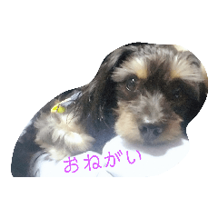 mayu_20190219183819