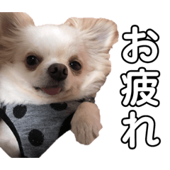 mochi_20190218204720