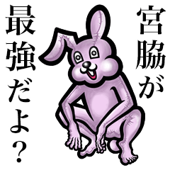 Pink bunny sticker! Miyawak