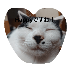 Sayuri_20190220111737