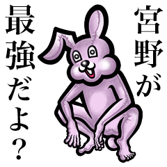 Pink bunny sticker! Miyano