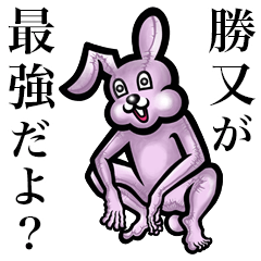 Pink bunny sticker! Katsumata