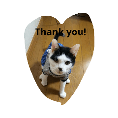 Sayuri_20190220120152