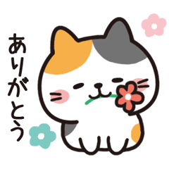 Good Friend Kitty