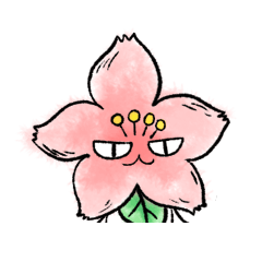 CherryB