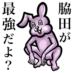 Pink bunny sticker! Wakita Wakida