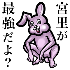 Pink bunny sticker! Miyazato Miyasato